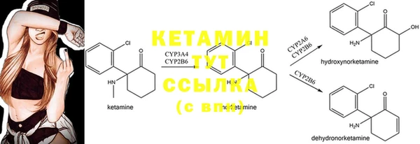 ешки Новокубанск